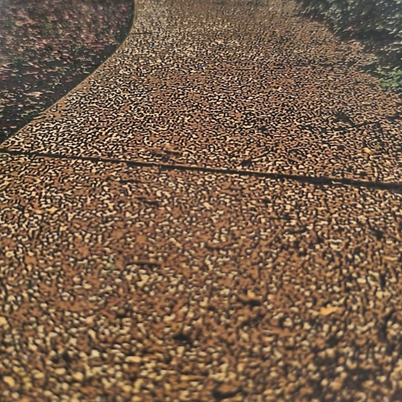 Golden Pathway - Picture 5 of 5